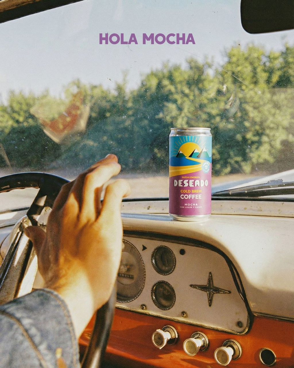 Mocha - 12 pack Mayorista