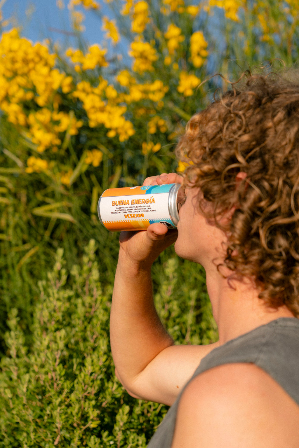 Vainilla Black: pack 24 mayorista