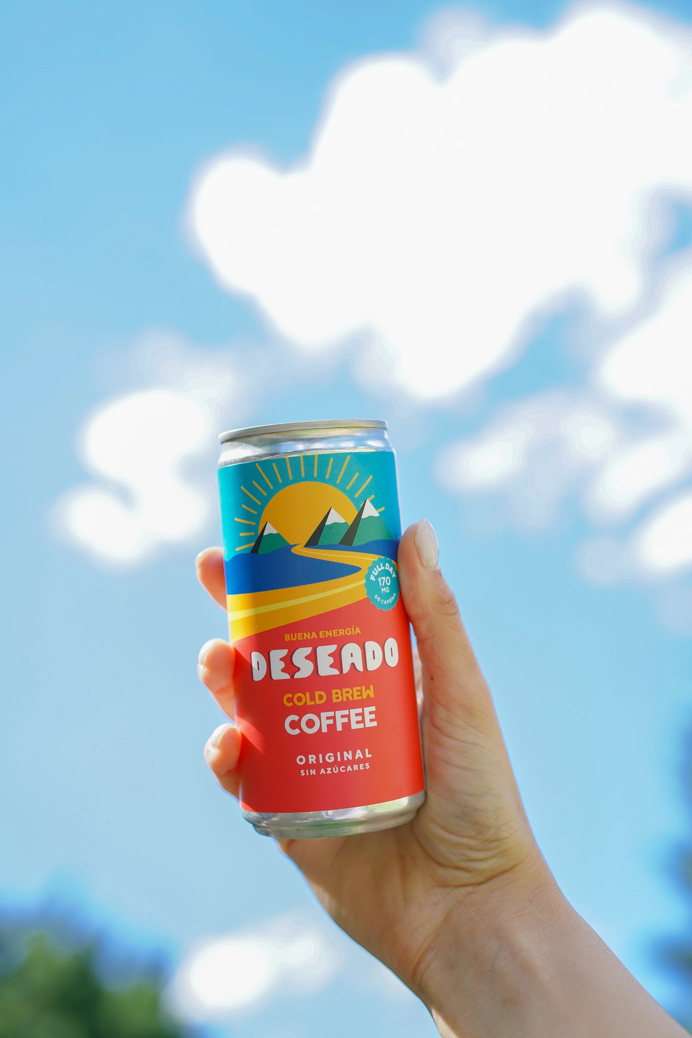 Pack 12 Combinación de Café Negro - Original (Cold Brew) y Vaini Black