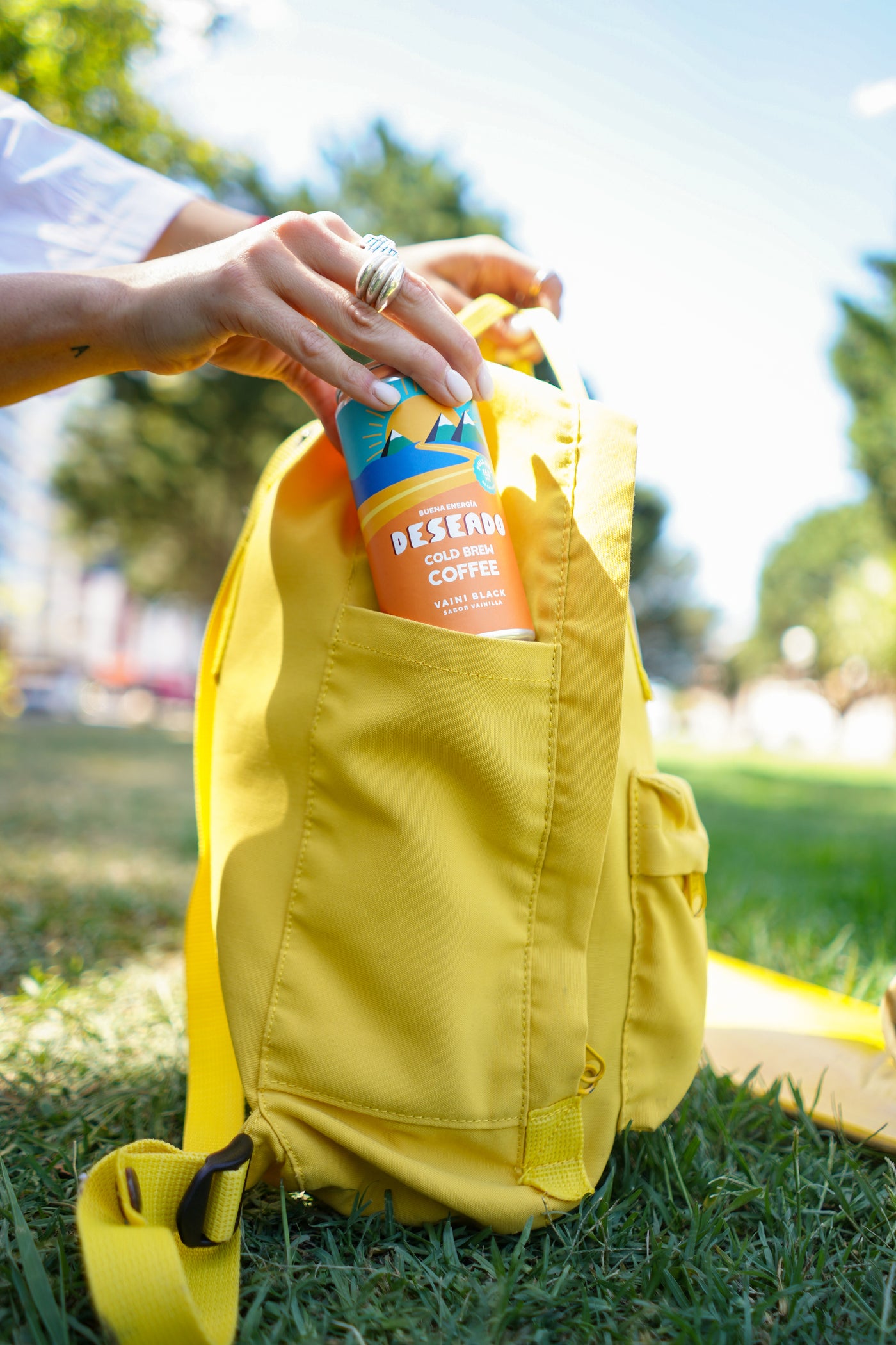 Vaini Black - 12 pack